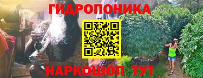 ПСИЛОЦИБИНОВЫЕ ГРИБЫ Заволжье
