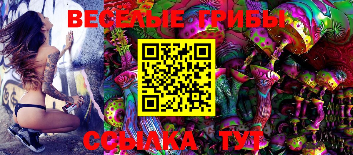 Михайловск  Галлюциногенные грибы Magic Shrooms  Вход с VPN 