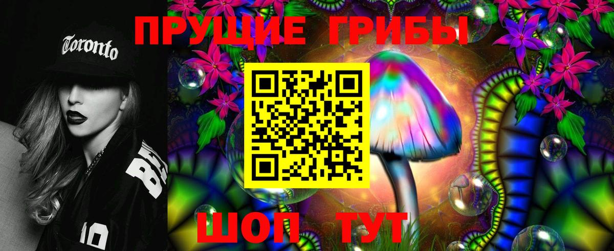 Галлюциногенные грибы Psilocybine cubensis Михайловск
